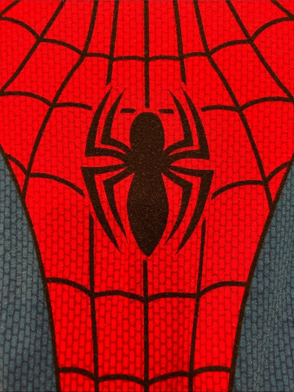 Disney Red and Blue Spider Man Pajama Set